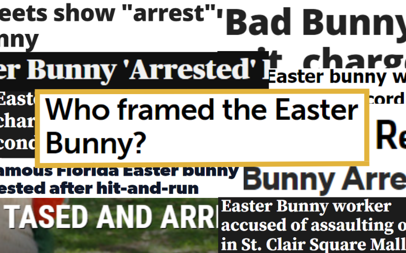 Personal Injury, Child Injury, Discrimination, Police Misconduct, and Harassment cases with the Easter Bunny